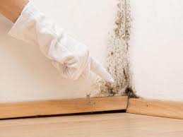 Best Residential Mold Inspection & Testing in USA